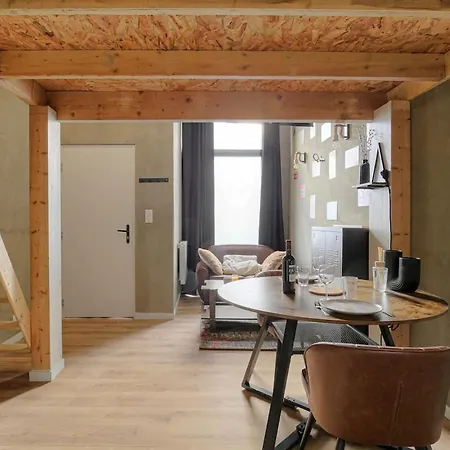 Apartment Lyon Cite Internationale - Loft Industriel Neuf Caluire-et-Cuire