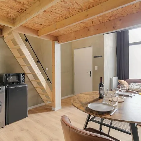 Lyon Cite Internationale - Loft Industriel Neuf Apartment Caluire-et-Cuire