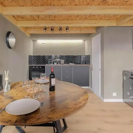 Lyon Cite Internationale - Loft Industriel Neuf Apartment Caluire-et-Cuire