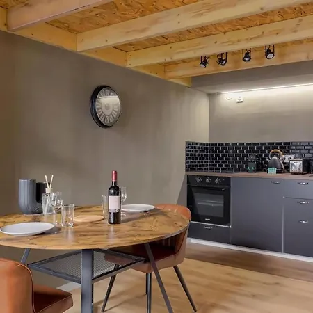 Lyon Cite Internationale - Loft Industriel Neuf Caluire-et-Cuire